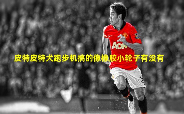 皮特皮特犬跑步机搞的像橡胶小轮子有没有