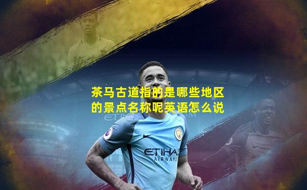 茶马古道指的是哪些地区的景点名称呢英语怎么说