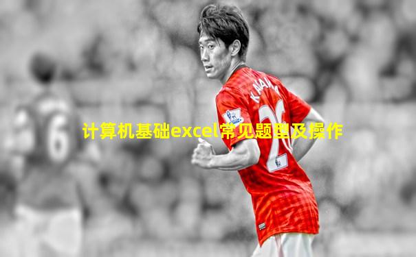 计算机基础excel常见题型及操作