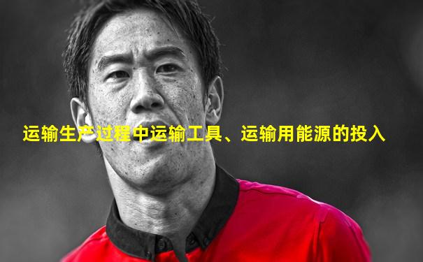 运输生产过程中运输工具、运输用能源的投入