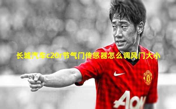 长城汽车c20r节气门传感器怎么调风门大小