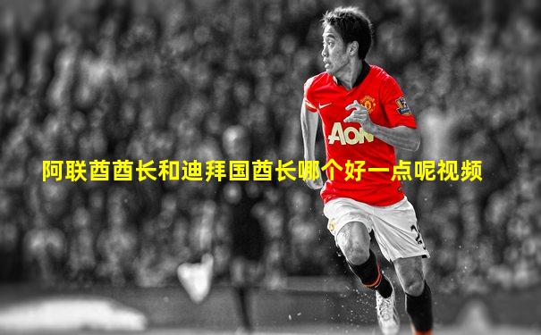 阿联酋酋长和迪拜国酋长哪个好一点呢视频